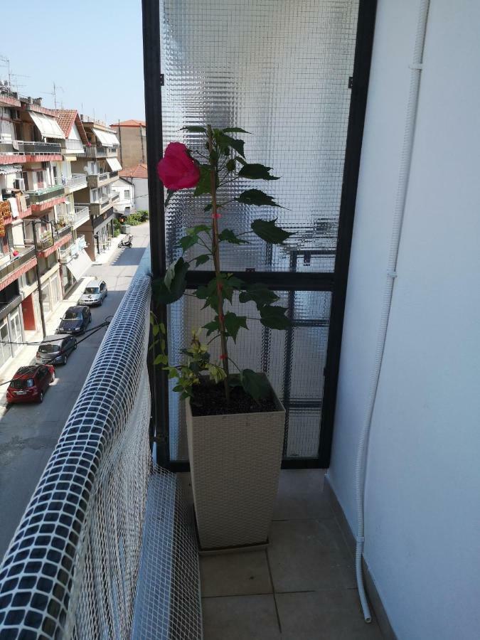 Alexandros Apartment Aridaia Bagian luar foto